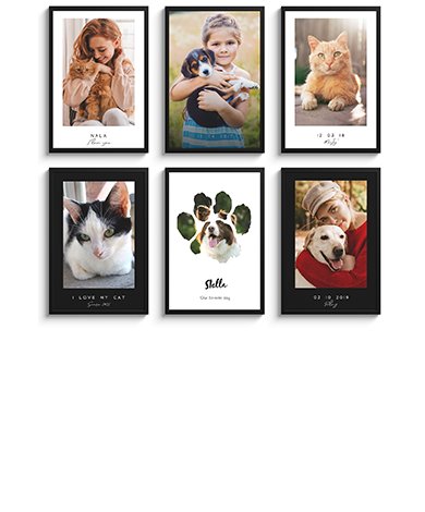 Poster chiens et chats