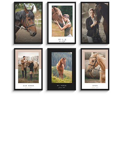 Poster chevaux