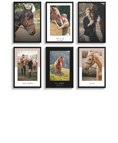 Poster personnalise de cheval