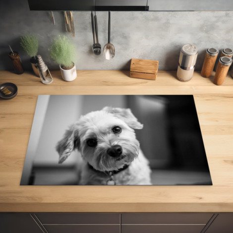 Protection plaque induction avec photo d'un chien