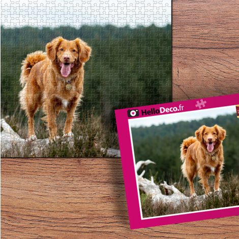 fotopuzzel met doos