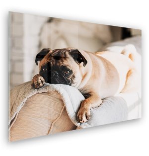 Foto op aluminium 100x70 cm