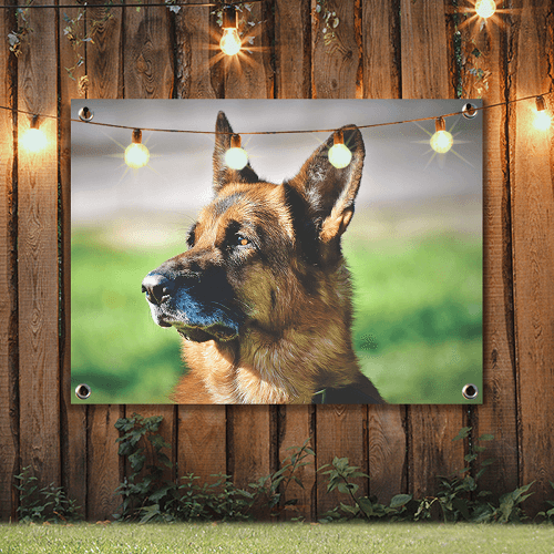 Poster jardin