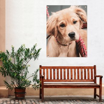 Poster jardin