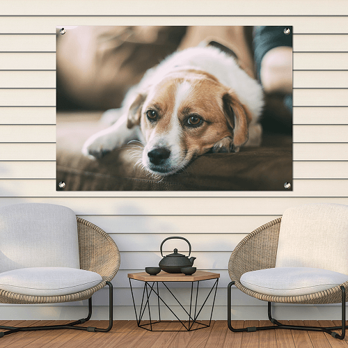 Poster jardin