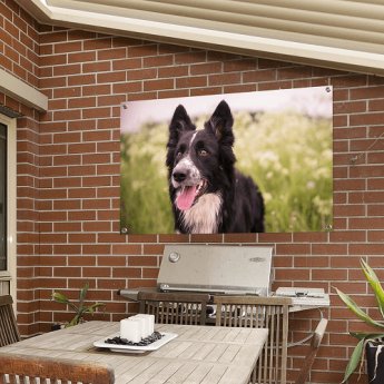 Poster jardin
