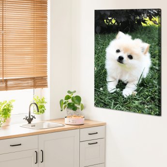 Photo sur toile