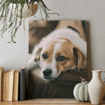 Photo sur toile