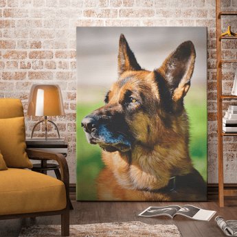 Photo sur toile