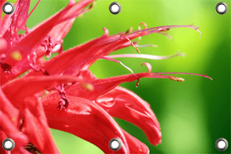 Poster de jardin prix