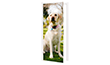photo sur poster de porte