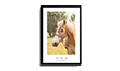 Poster personnalise de cheval
