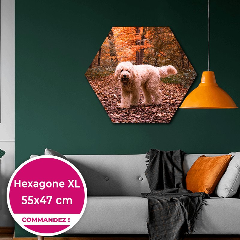 Hexagone XL