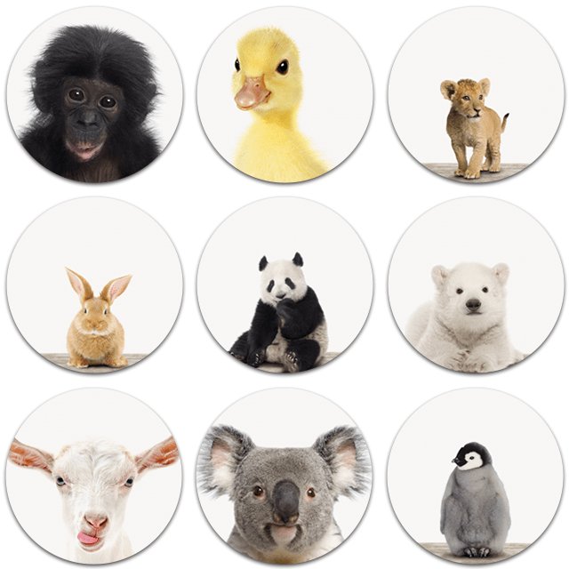 Tableau rond artyanimals