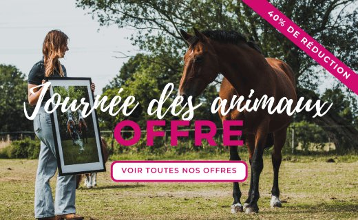 Journée des animaux