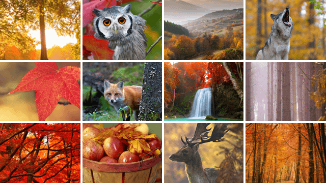 Posters de jardin avec automne