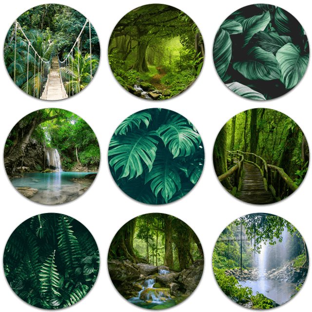 Tableau rond Jungle