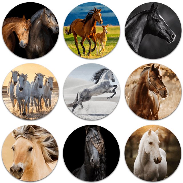 Tableau rond chevaux