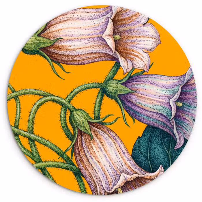 Cercle mural - Plexiglas - Fleurs - Botanique - Jaune