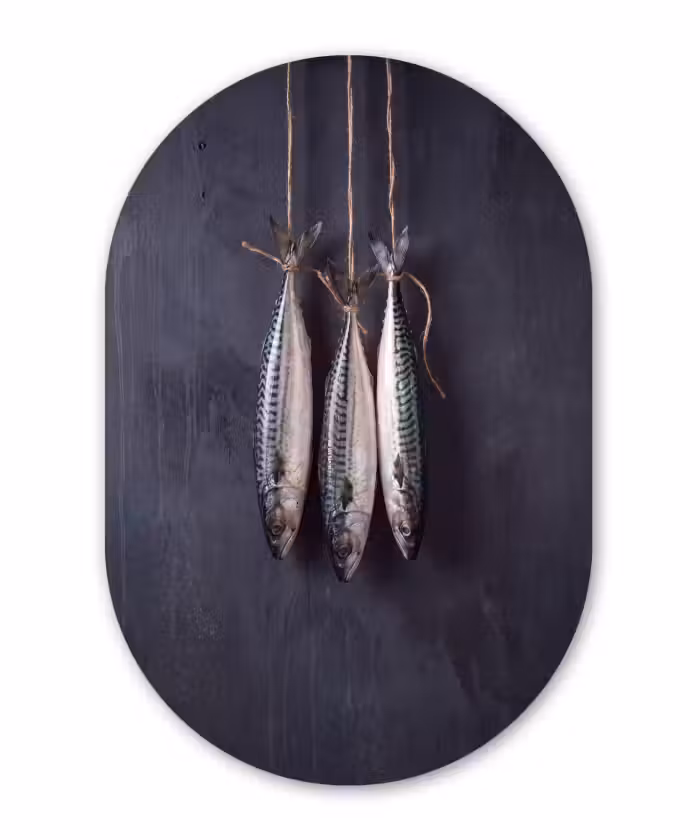 Ovale murale en aluminium - Plexiglas - Trois poissons - Corde