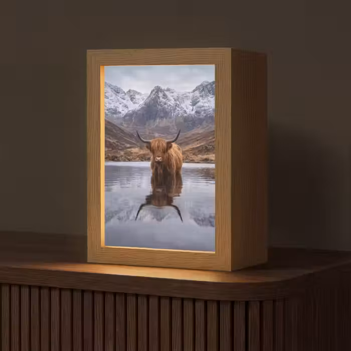 Lampe de table - Highlander écossais - Marron - Eau
