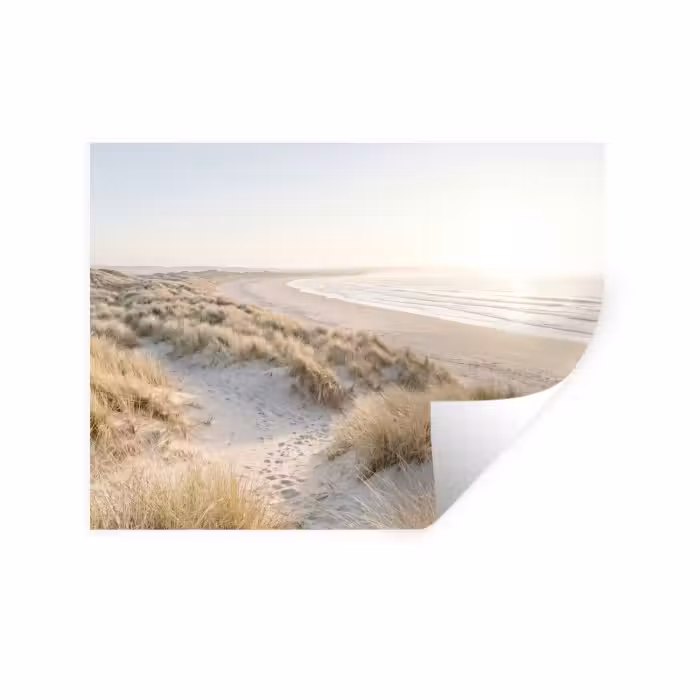 Sticker mural - Dunes - Plage - Beige