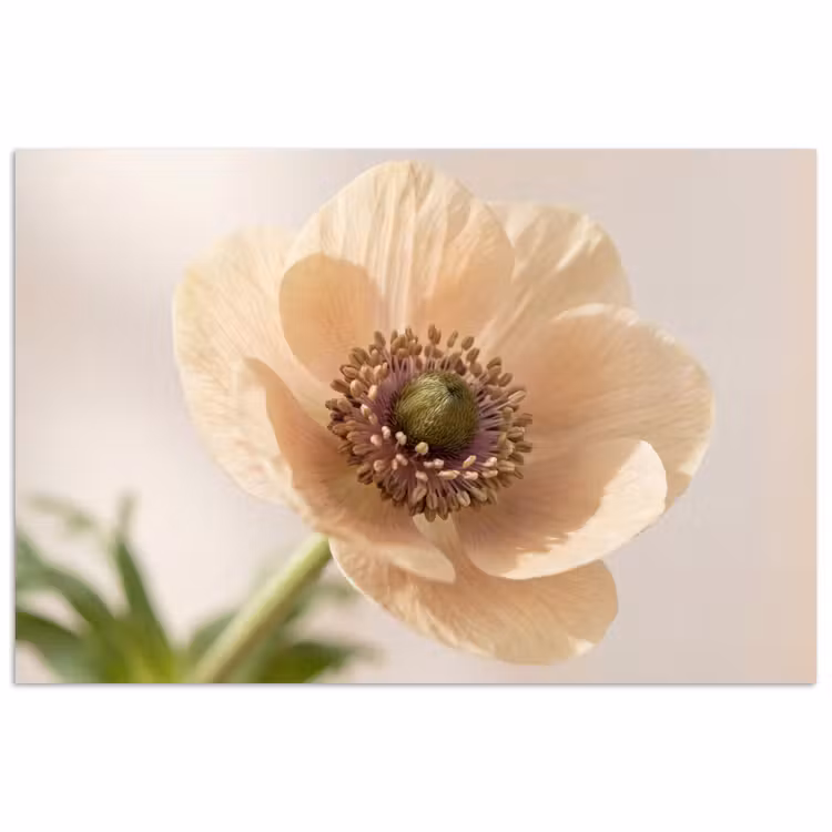 Affiche - Fleur - Minimaliste - Vert — 1