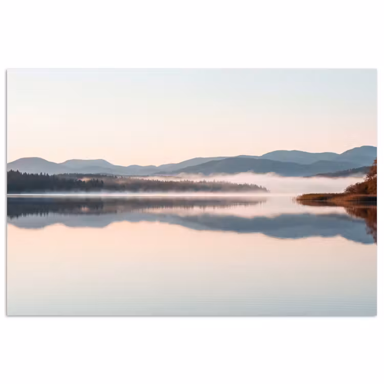 Affiche - Eau - Arbres - Couche de brouillard — 1