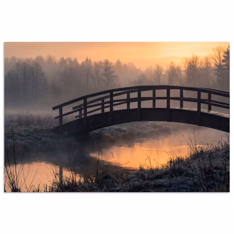 Affiche - Pont - Brouillard - Arbres - Eau — 1