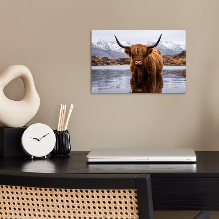 Affiche - Highlander écossais - Marron - Eau — 2