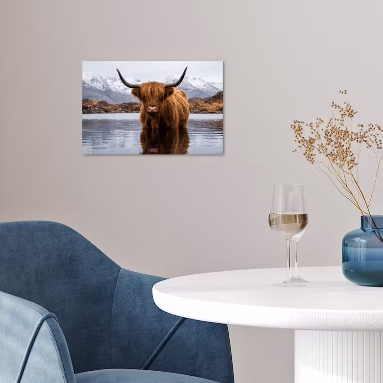 Affiche - Highlander écossais - Marron - Eau — 4