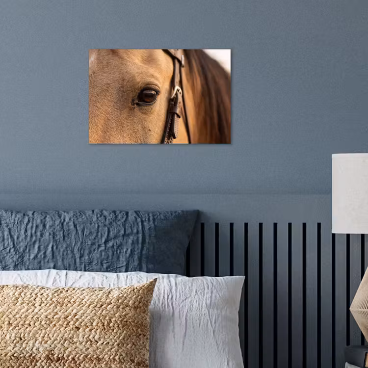 Affiche - Cheval - Oeil - Marron — 3