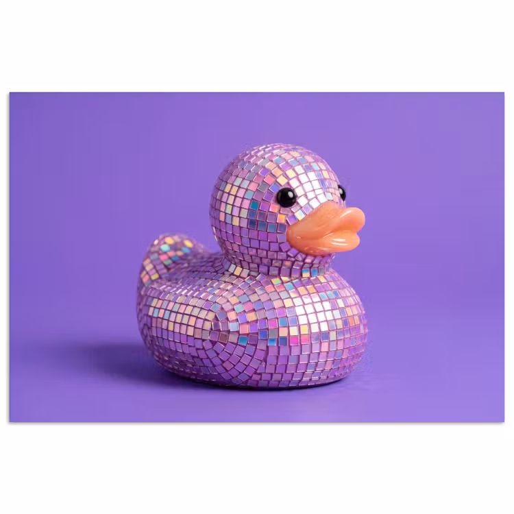 Affiche - Disco - Canard - Violet — 1