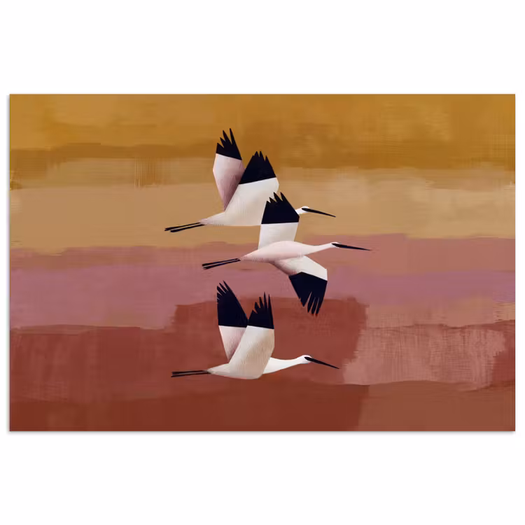 Affiche - Oiseaux - Bec - Abstrait — 1