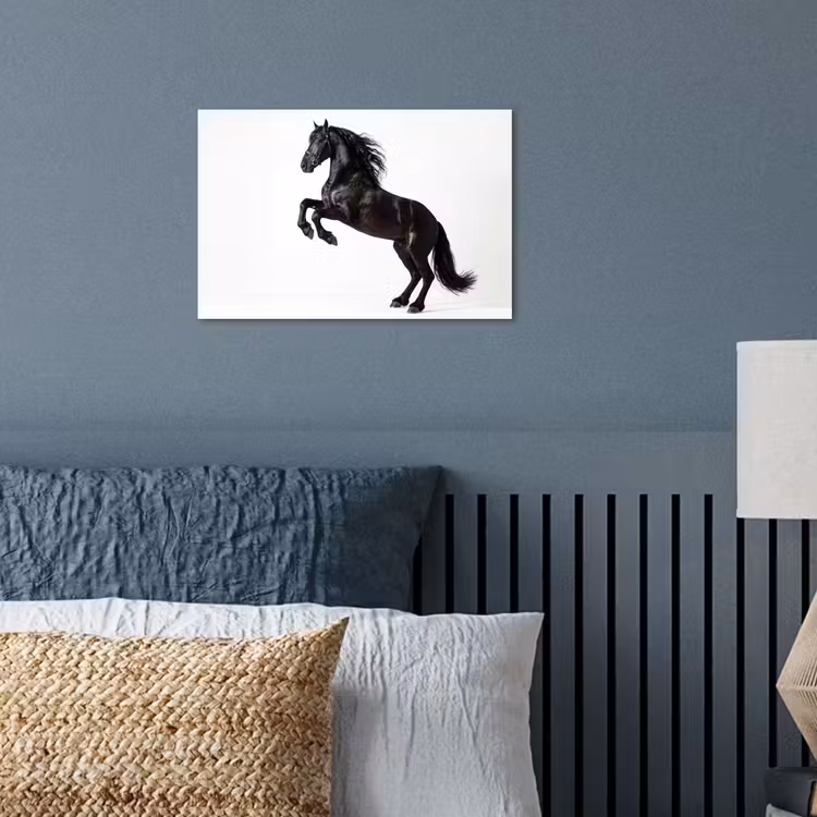 Affiche - Noir - Cheval - Portrait — 3