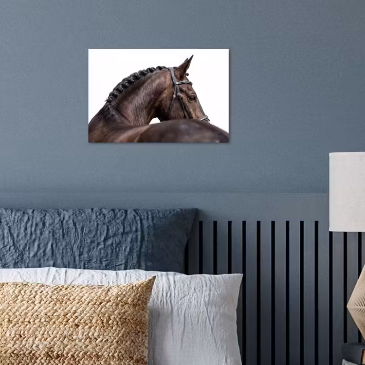 Affiche - Portrait - Cheval - Elégant — 3