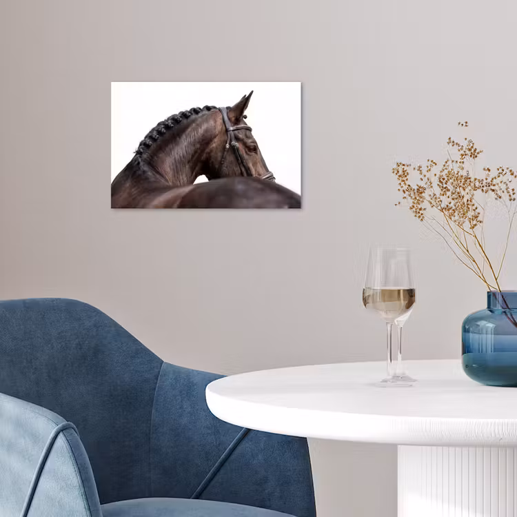 Affiche - Portrait - Cheval - Elégant — 4