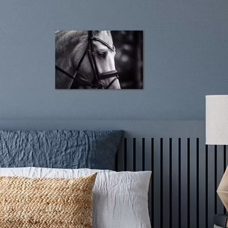 Affiche - Cheval - Gris - Portrait — 3