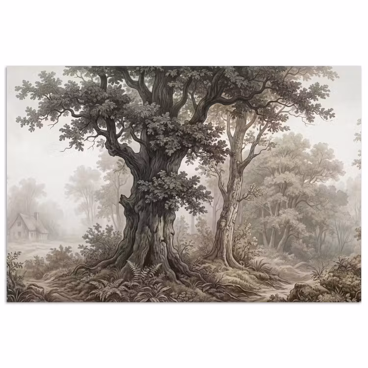 Affiche - Nature - Forêt - Chêne — 1