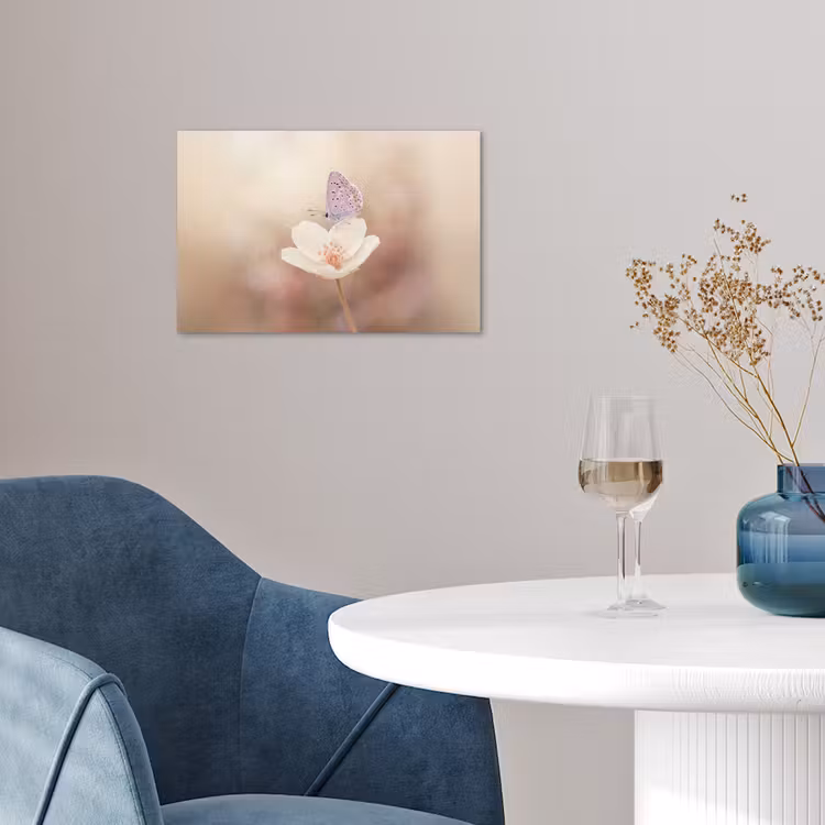 Affiche - Papillon - Fleur - Bleu — 4