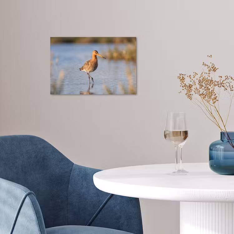 Affiche - Oiseau - Échasse - Eau - Nature — 4
