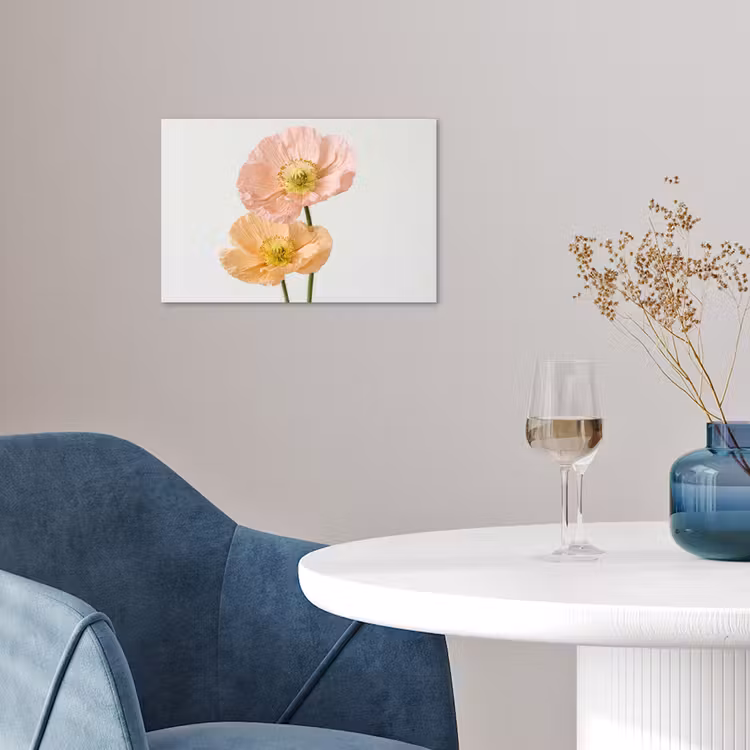 Affiche - Coquelicots - Botanique - Rose — 4