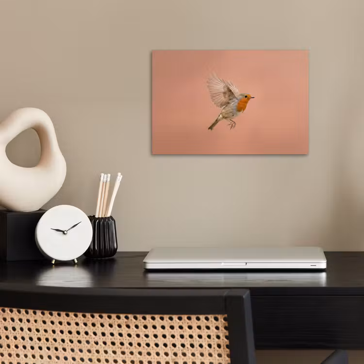 Affiche - Robin - Nature - Rose — 2