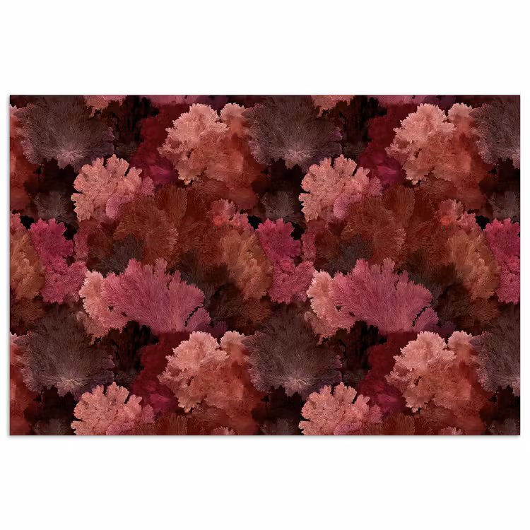 Affiche - Corail - Texture - Coloré — 1