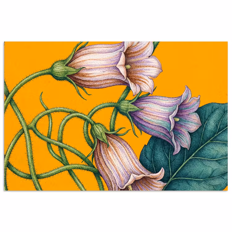 Affiche - Fleurs - Botanique - Jaune — 1