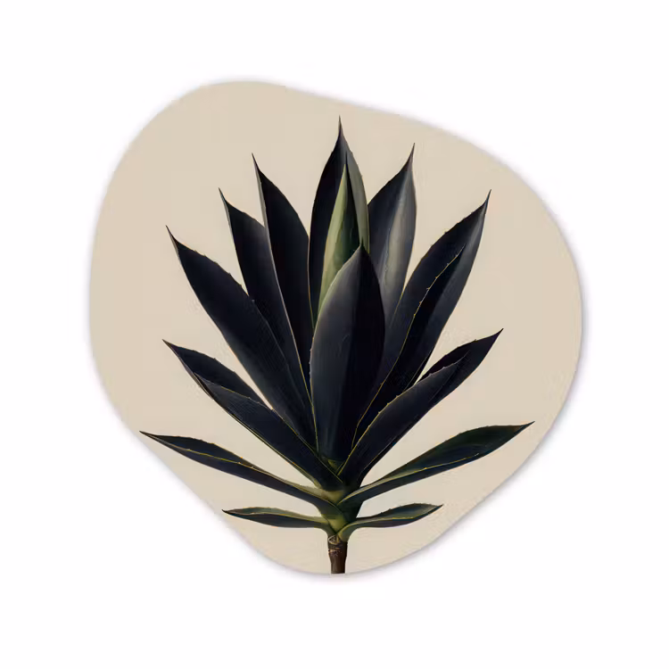 Forme organique - Forex - Agave - Symétrique - Vert — 1