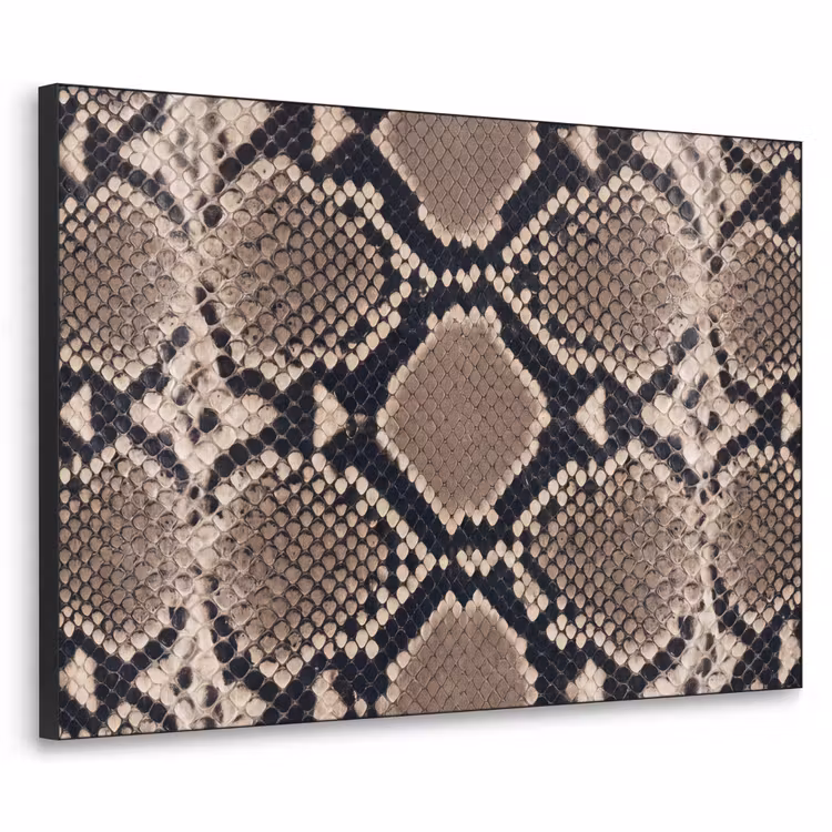 Art Frame - Imprimé serpent - Python - Marron — 1
