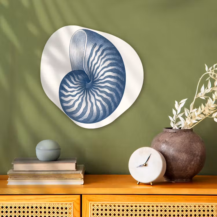 Forme organique - Forex - Bleu - Coquille - Spirale — 2
