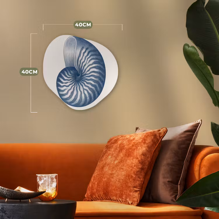 Forme organique - Forex - Bleu - Coquille - Spirale — 4