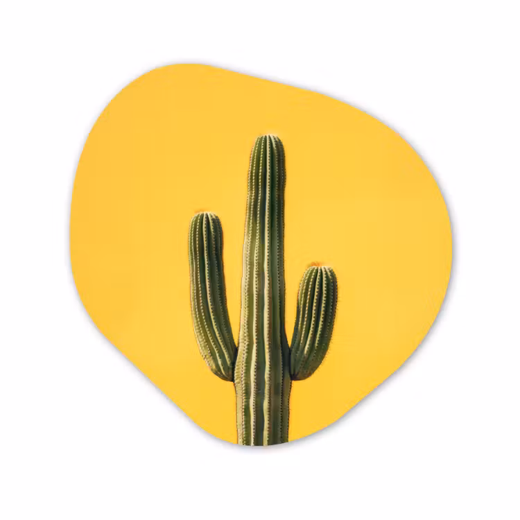 Forme organique - Forex - Cactus - Vert - Minimaliste — 1